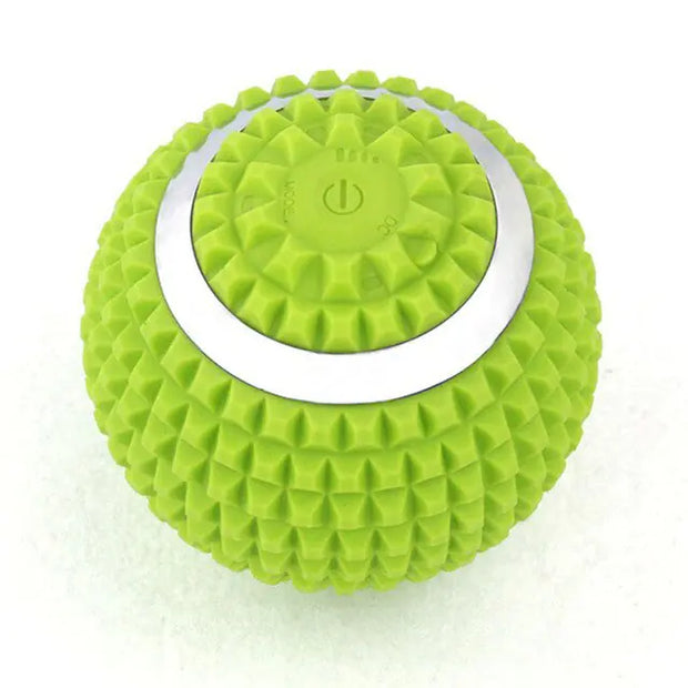 Electric Fascial Ball Vibration Massage Ball-The Joop Basket